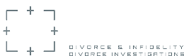 private-investigator